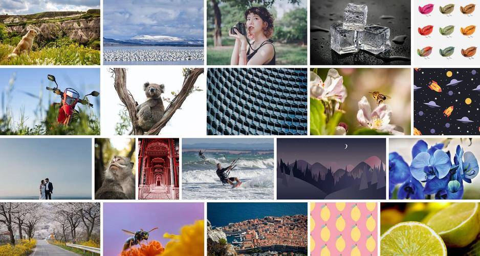 关于免费视频素材网站pixabay的信息 关于免费视频素材网站pixabay的信息