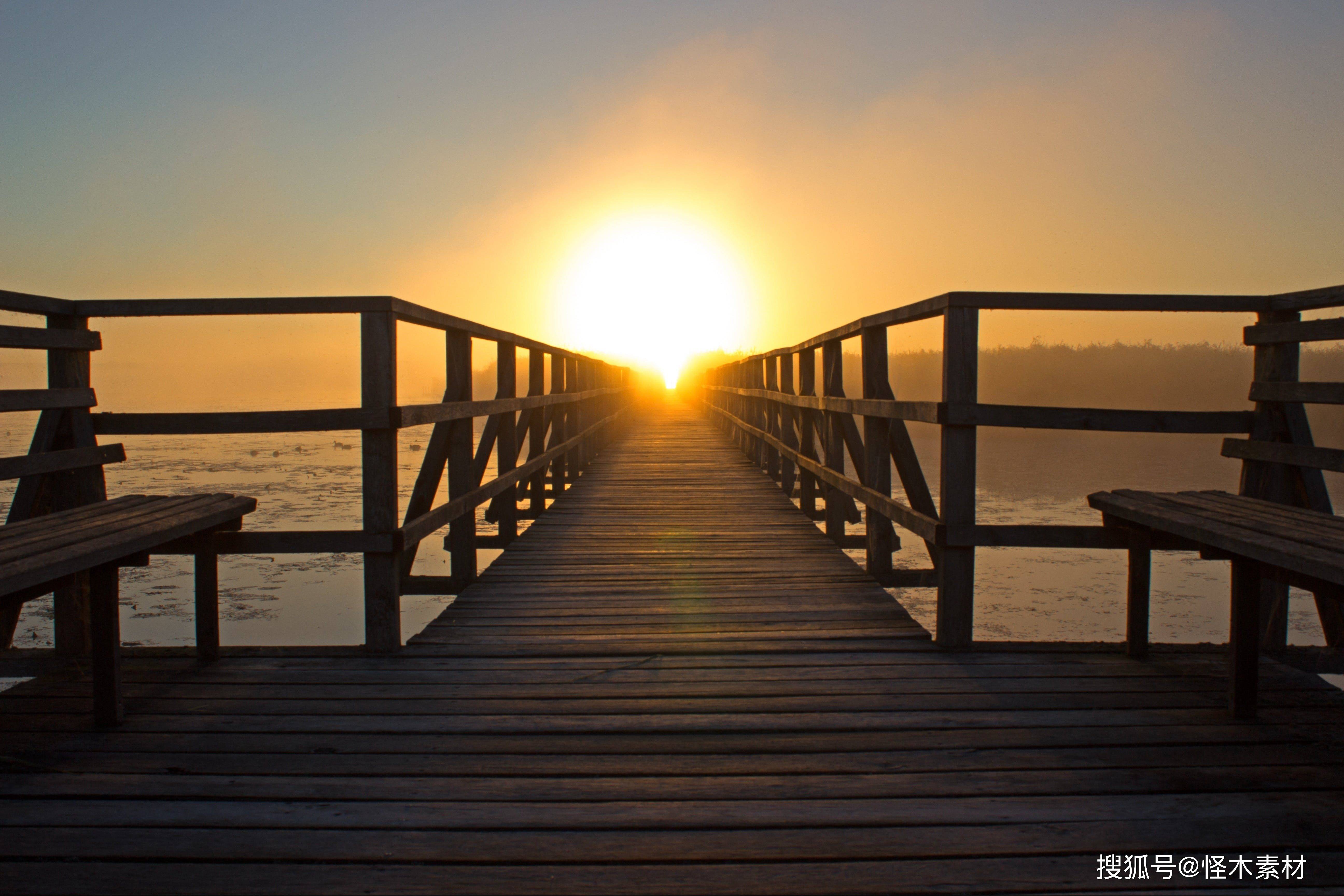 关于免费视频素材网站pixabay的信息 关于免费视频素材网站pixabay的信息