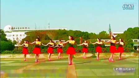 广场舞视频资源下载网站(广场舞视频资源下载网站有哪些)