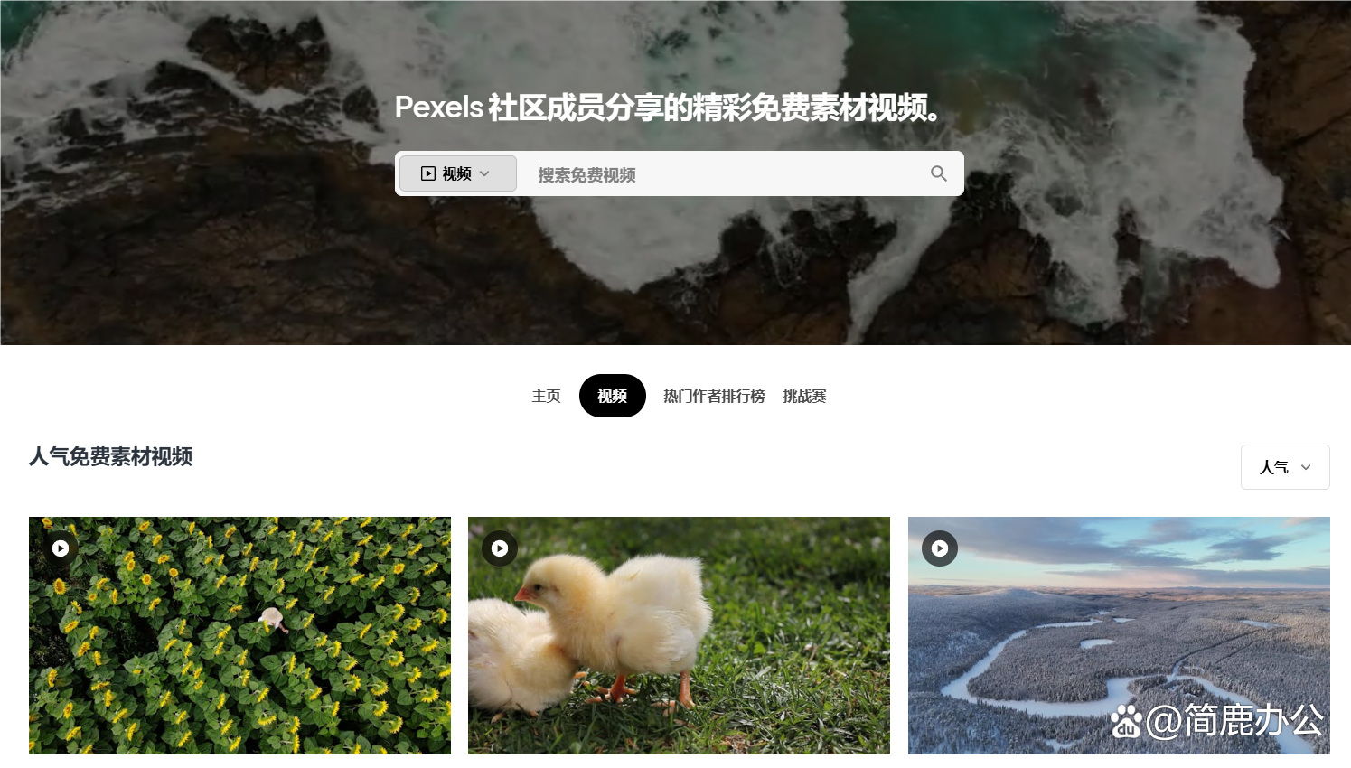 视频资源素材网站免费观看(正版视频素材网站)