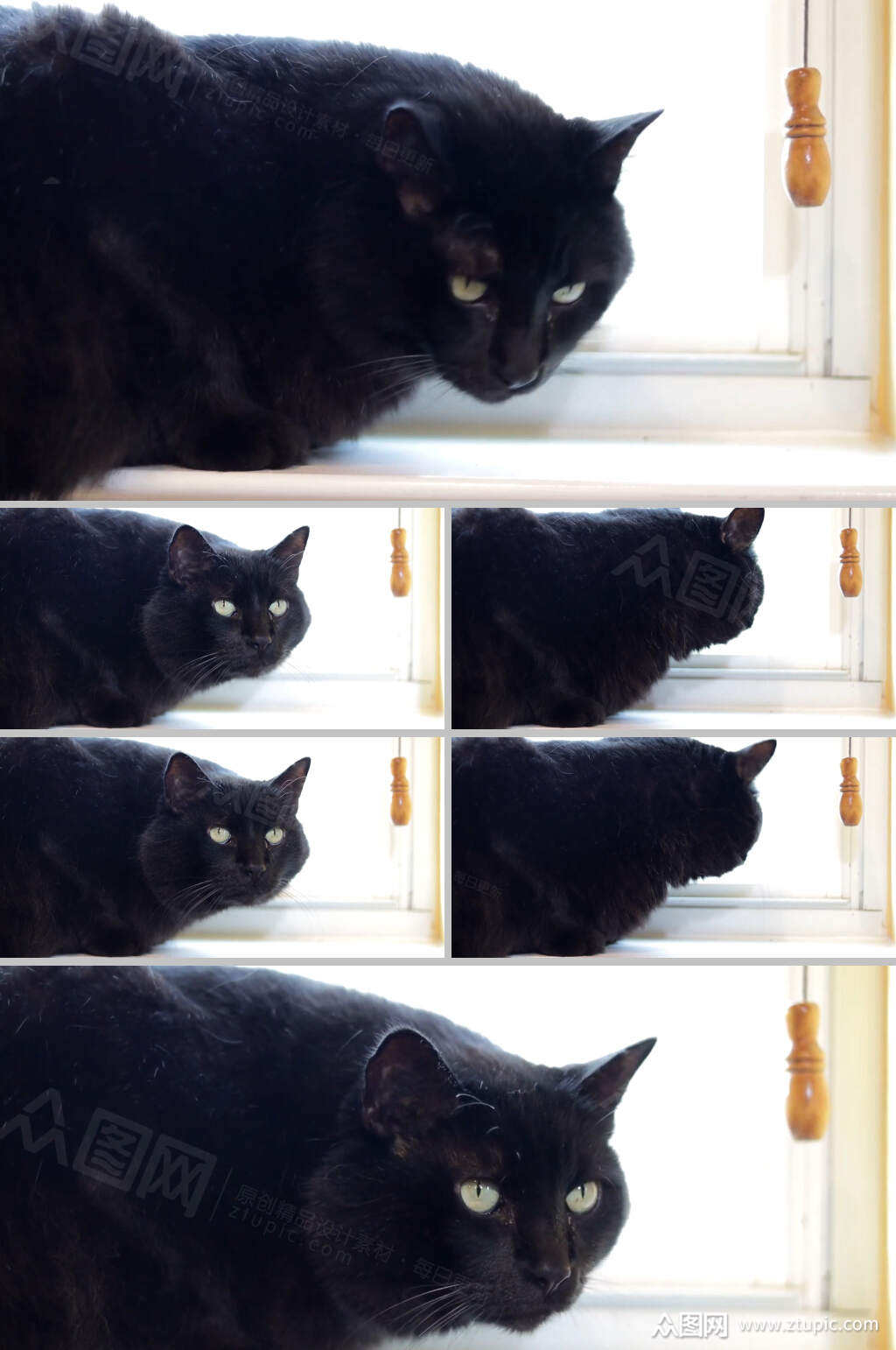 黑猫记录视频资源怎么下载不了(黑猫记录1080p)