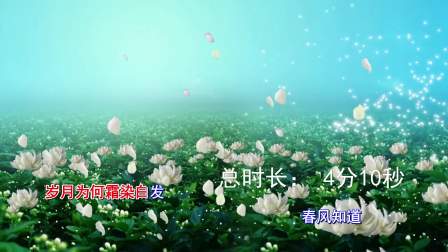 免费视频素材无水印素材库(免费 无水印 视频素材)