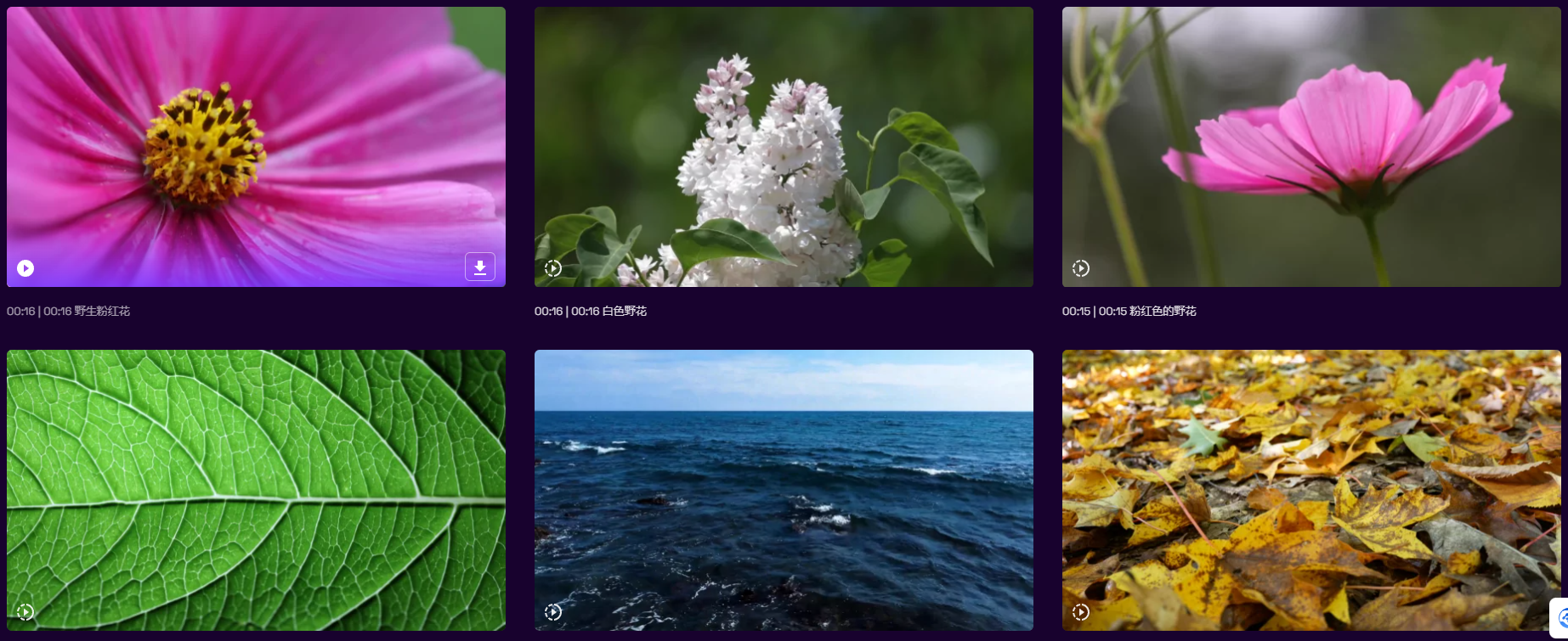 免费视频素材资源(免费视频素材在线下载)