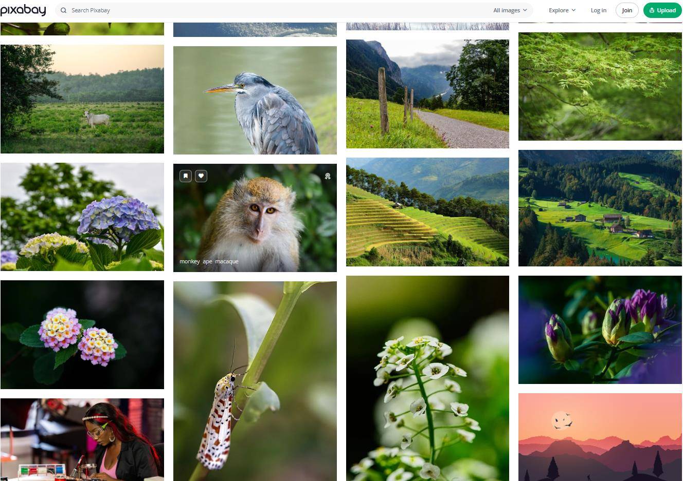 免费视频素材资源库(免费视频素材资源库下载)